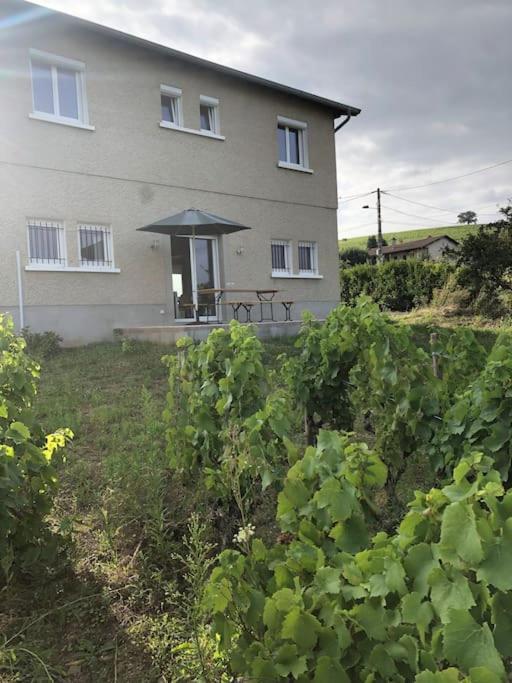 Petit Gite De Javernieres Rez De Jardin วิลเล-มอร์กง ภายนอก รูปภาพ
